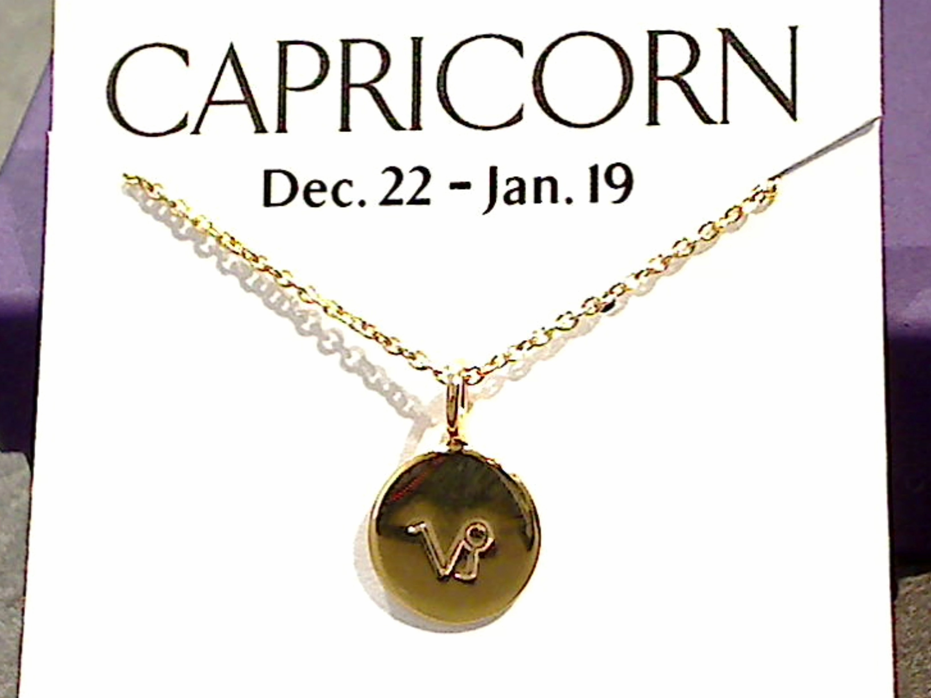 Layered Combo Personalized Gift 16" - 18" Gold Plated Sterling Capricorn Zodiac Necklace