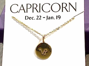Layered Combo Personalized Gift 16" - 18" Gold Plated Sterling Capricorn Zodiac Necklace