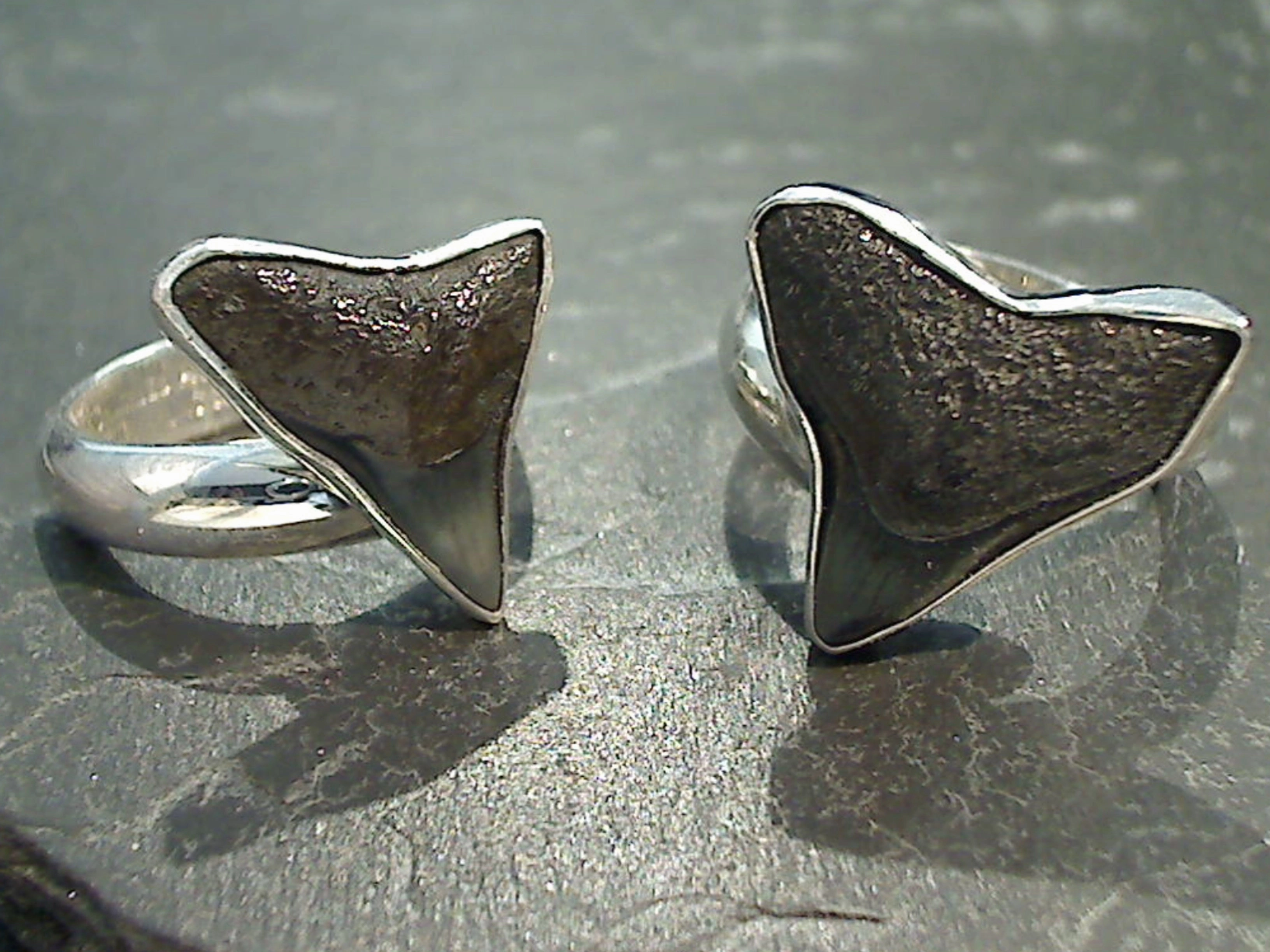 Exquisite Stones Adjustable Size Fossil Shark Tooth, Fine Sterling Silver Ring