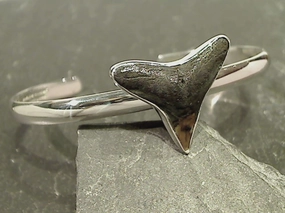 Dazzling Piece Luxe Design Fossil Shark Tooth, Fine Sterling Cuff Bracelet