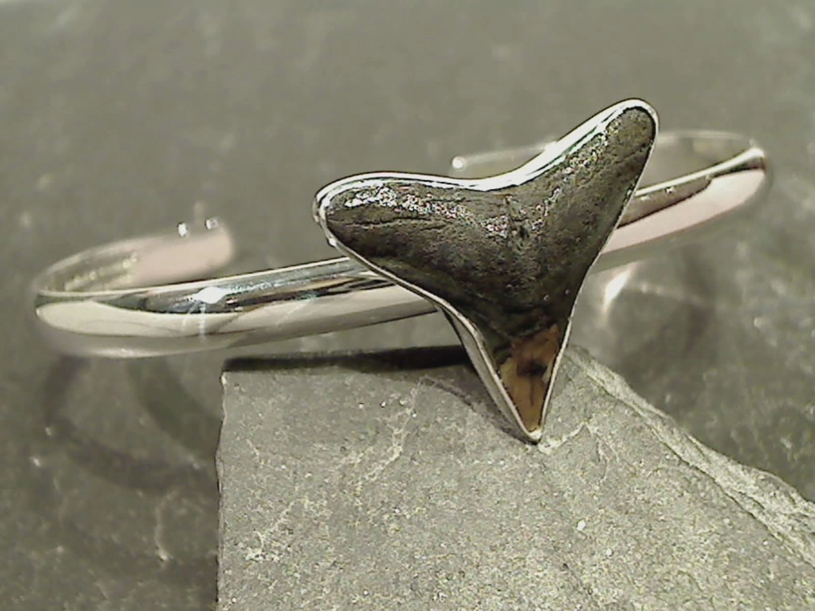 Dazzling Piece Luxe Design Fossil Shark Tooth, Fine Sterling Cuff Bracelet