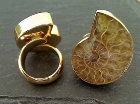 Sophisticated Jewelry Muted Mood Fossil Ammonite, Alchemia Ring - Adj. Size