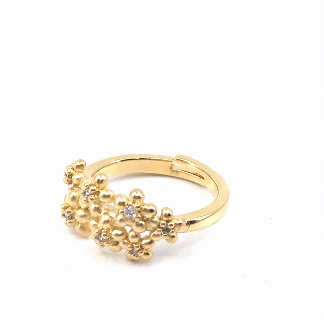Gold Plated Flowers CZ Ring Model Shot