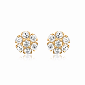 Gold Plated Surgical Steel Color CZ Flower Stud Earrings Sophisticated Design Finish