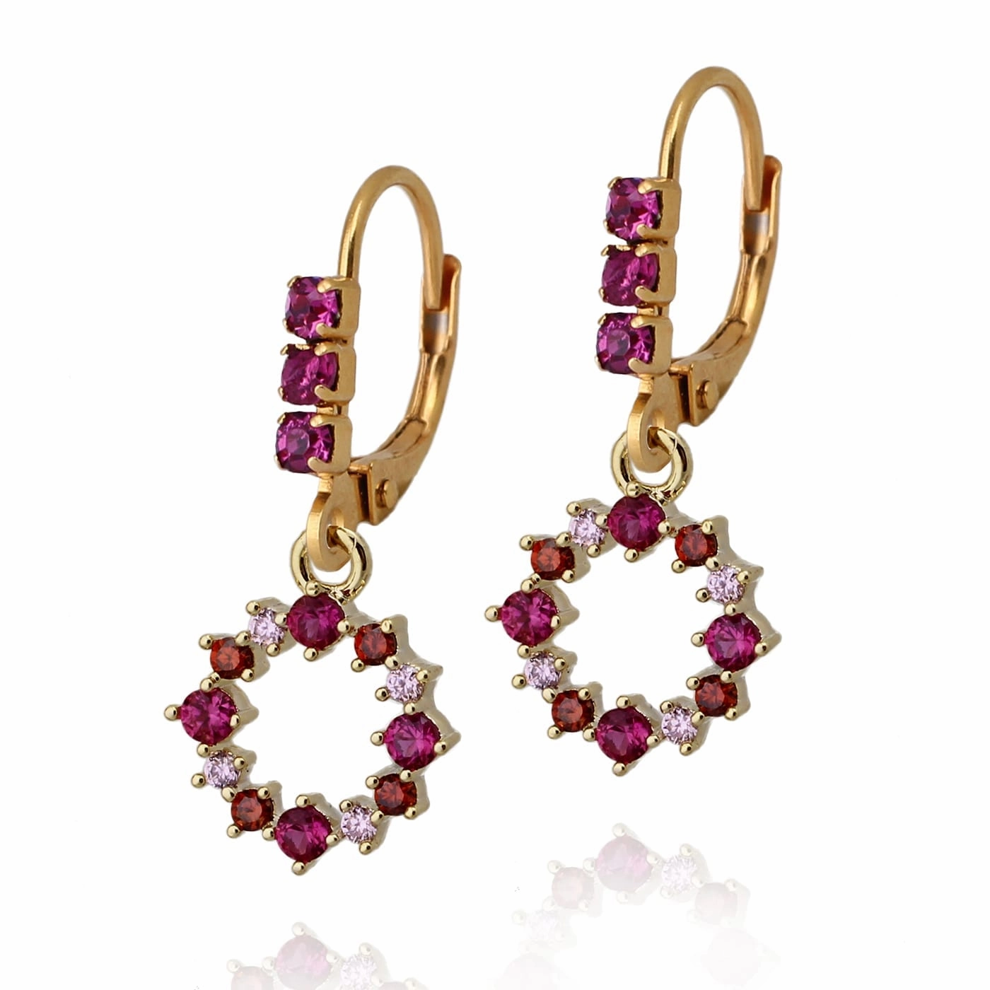 Surgical Steel Circle Earrings exquisite design