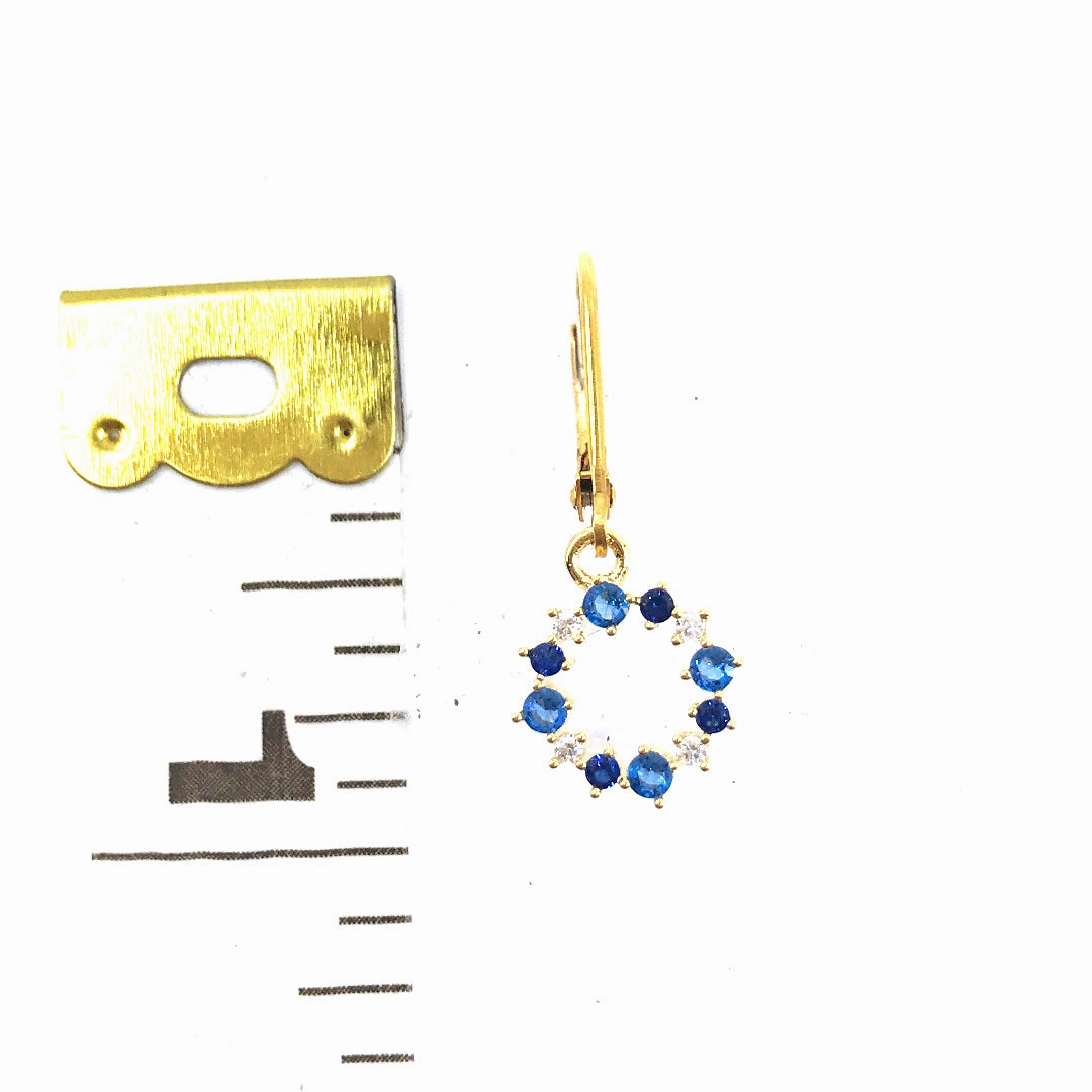 Flawless Radiance Surgical Steel Circle Earrings